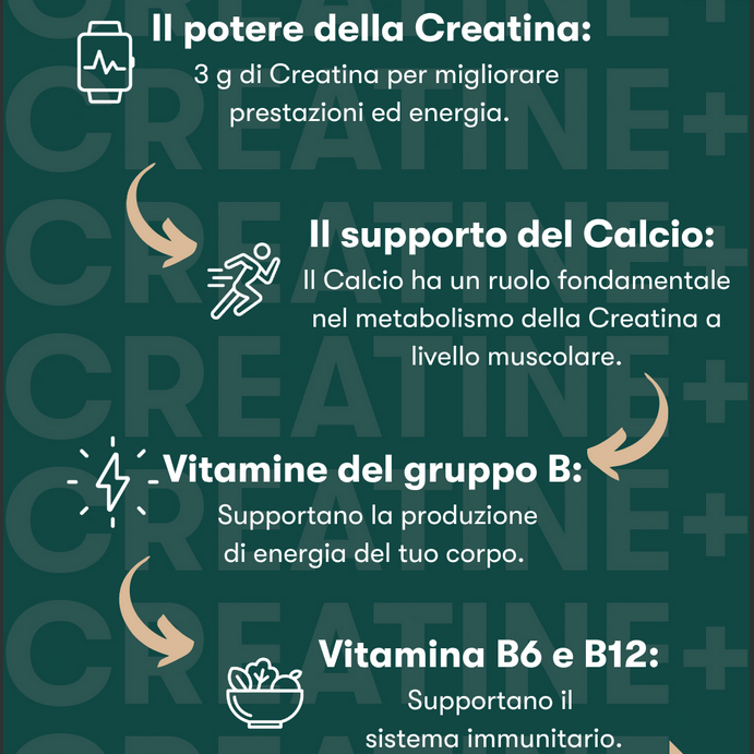 H24 Creatine+