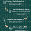 H24 Creatine+